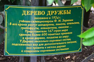 Сад-музей "Дерево Дружбы"